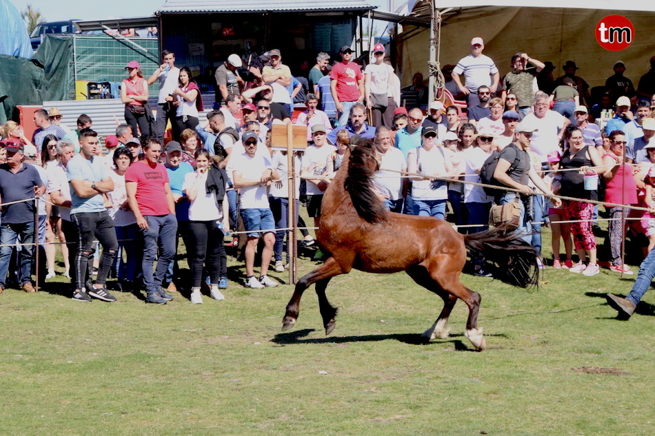 IMG 4309