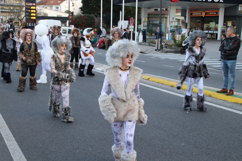 IMG 4355 (1)
