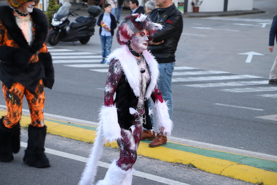 IMG 4366