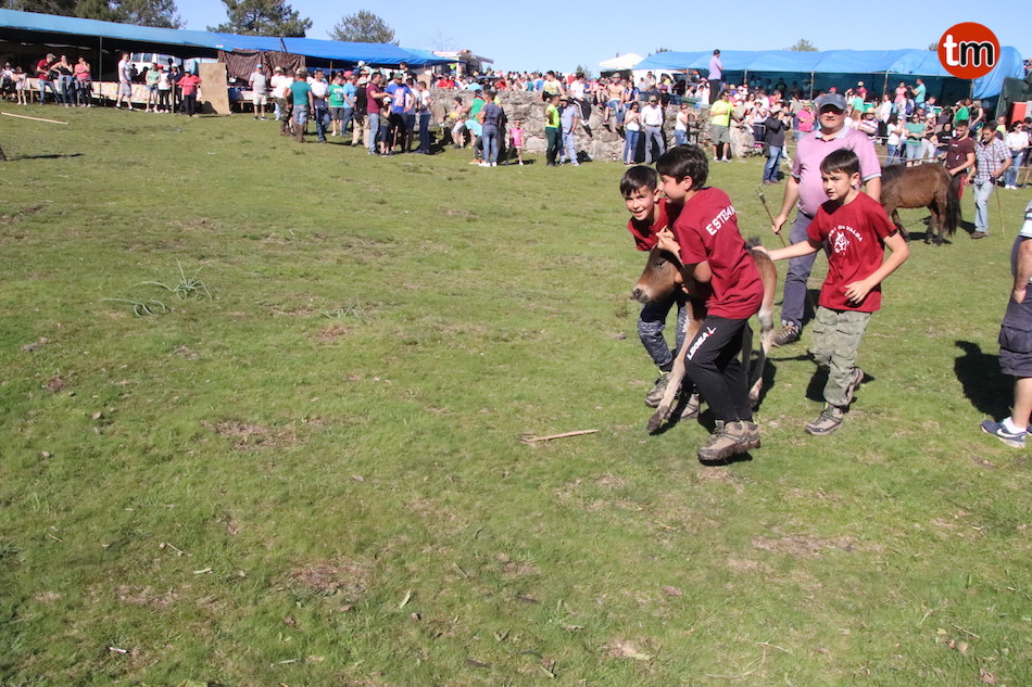 IMG 4434 (1)