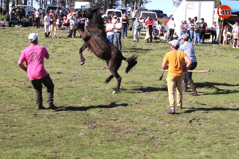 IMG 4507