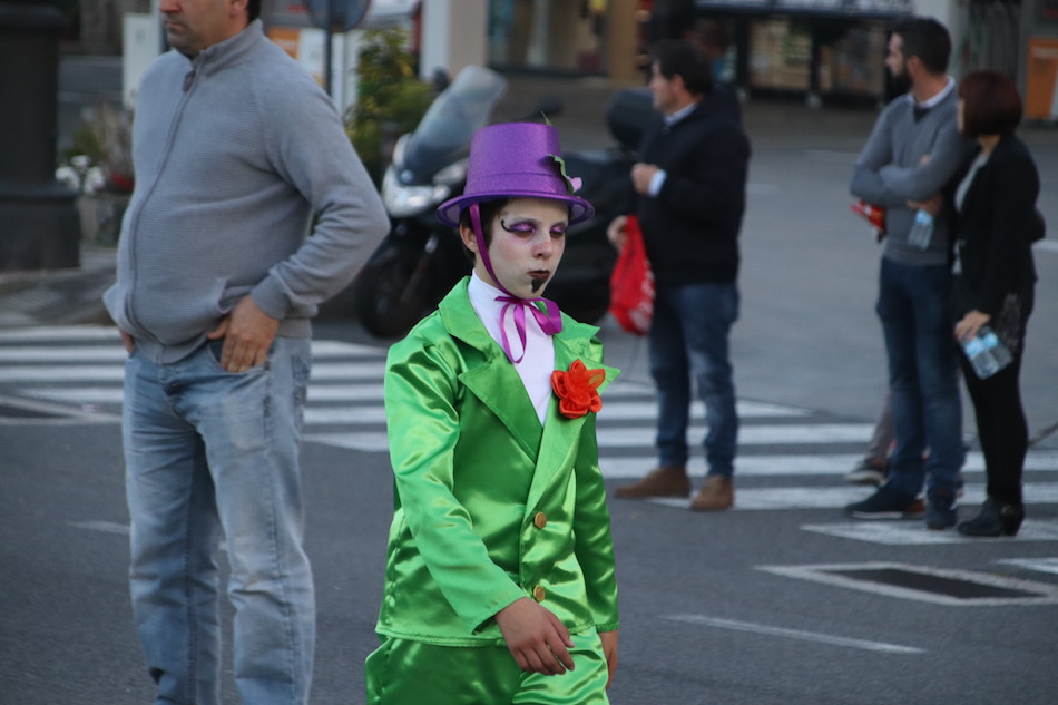 IMG 4578