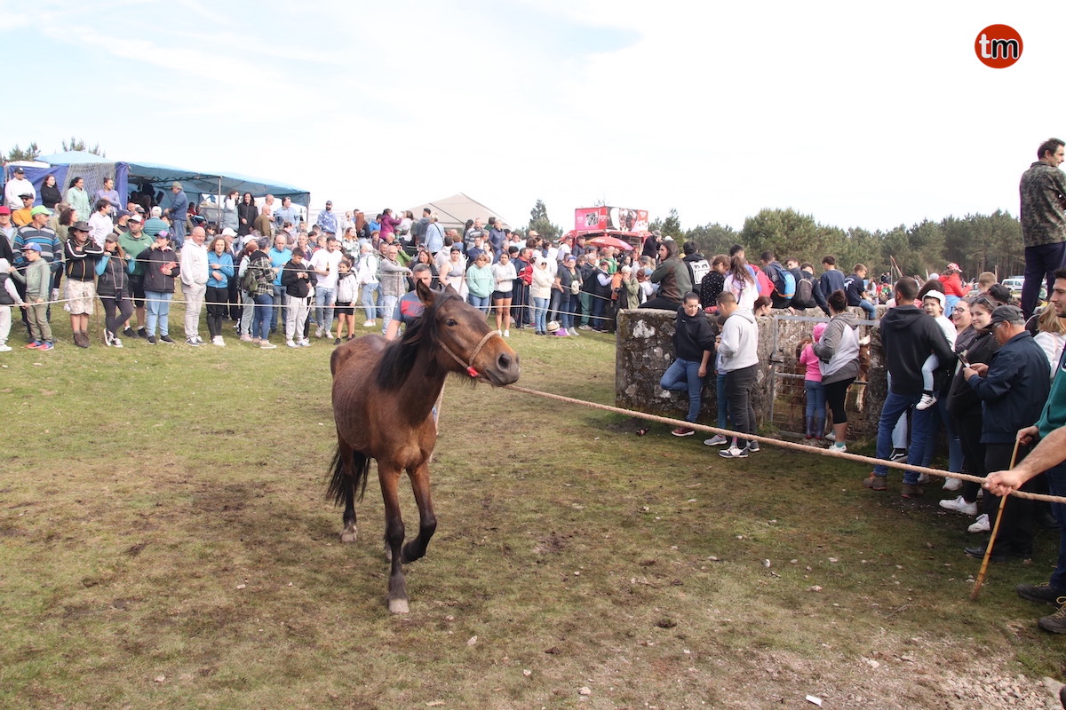 IMG 4659 (1)