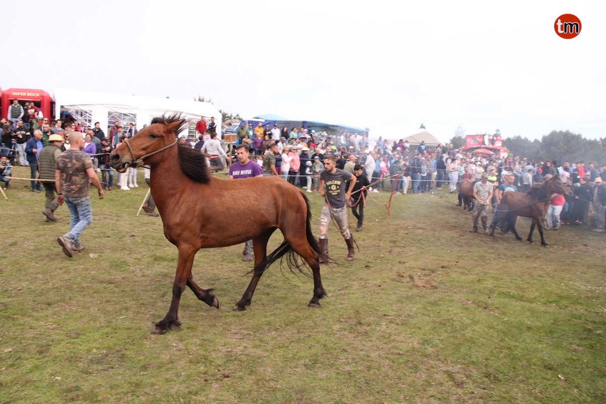 IMG 4715 (1)