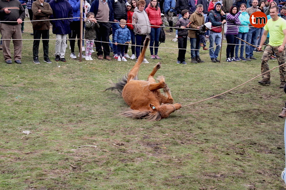 IMG 4717