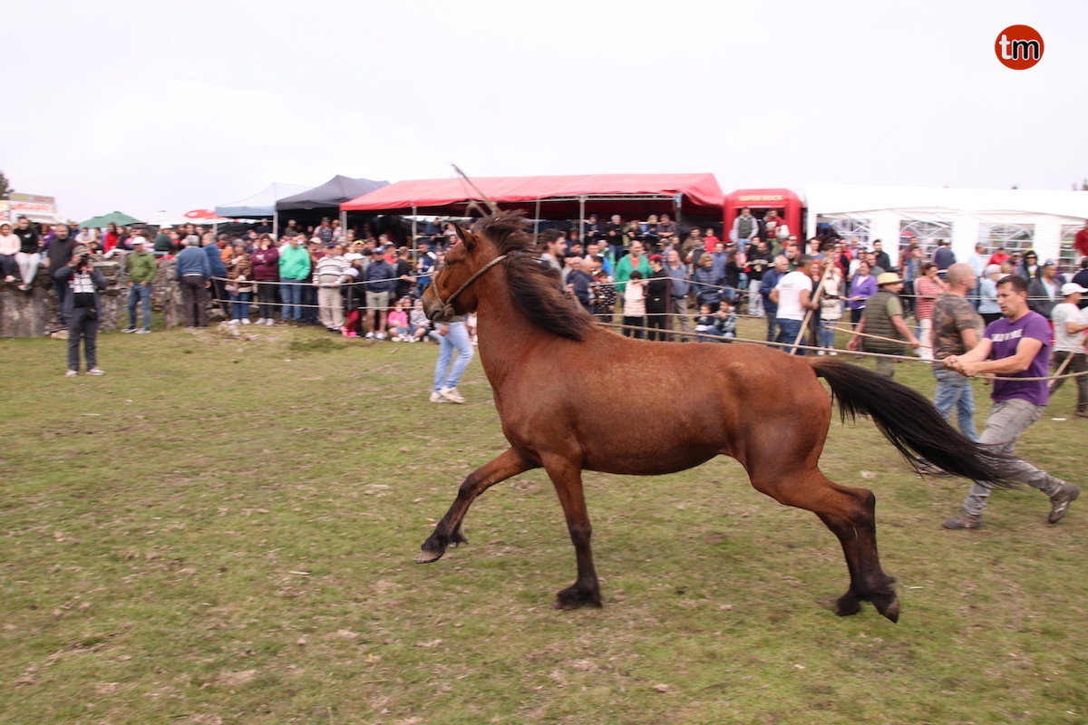 IMG 4717 (1)