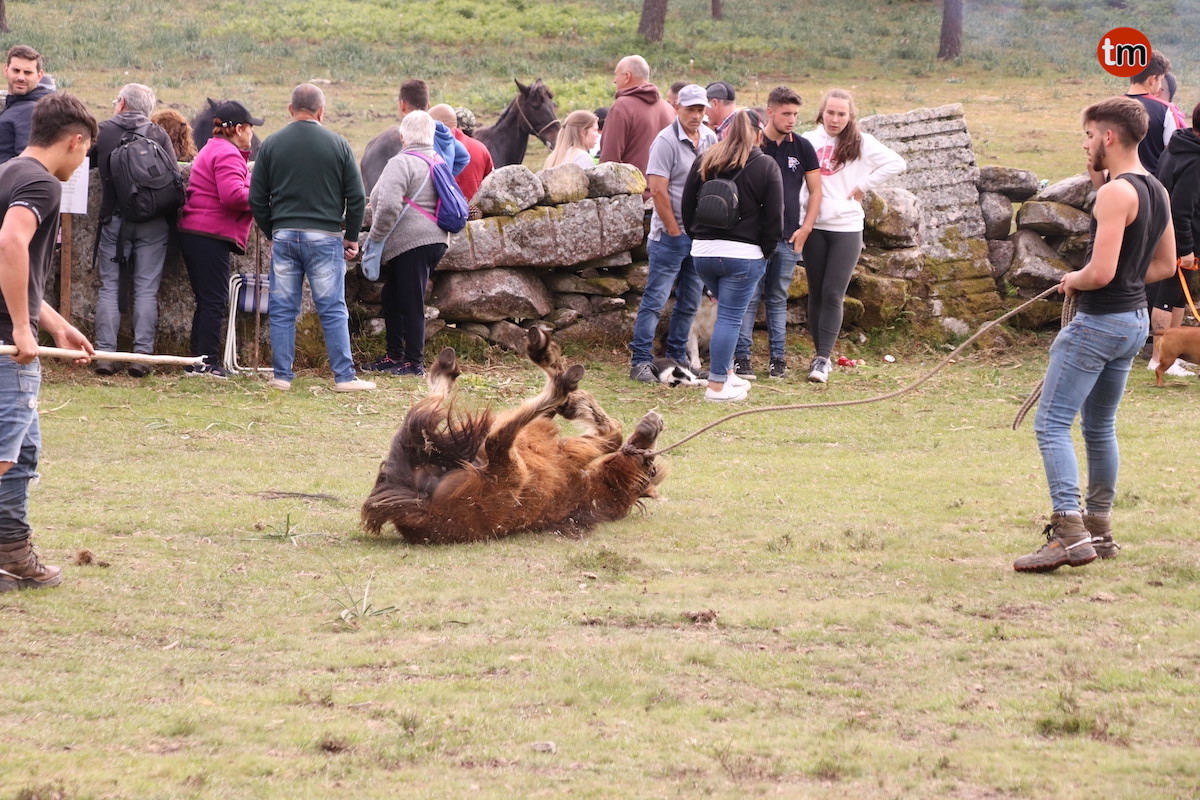 IMG 4736 (1)