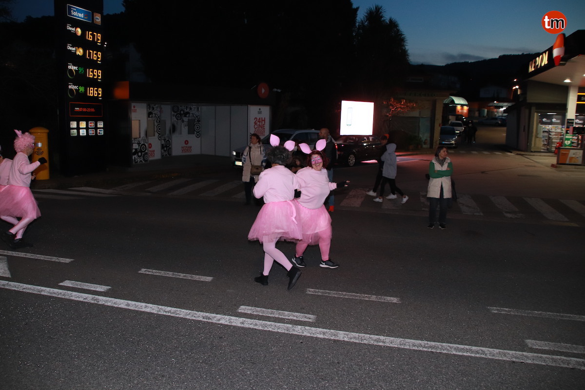 IMG 7096