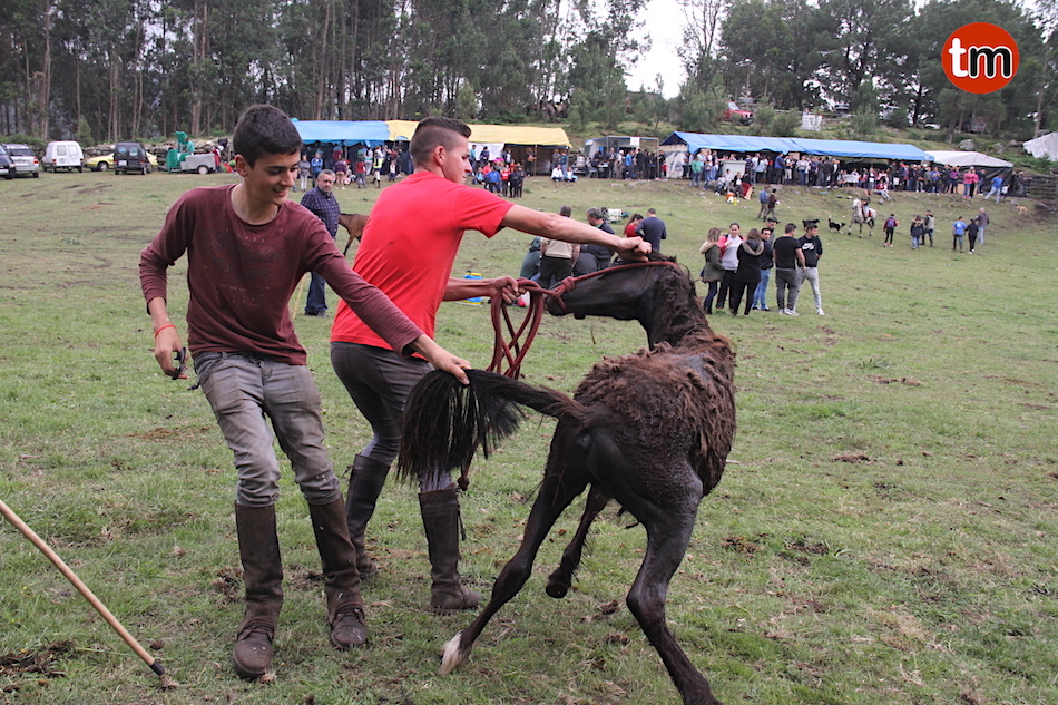 IMG 7371