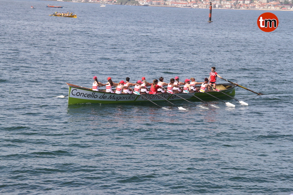 IMG 7754