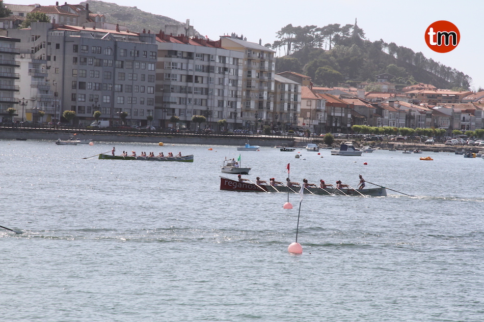 IMG 7769