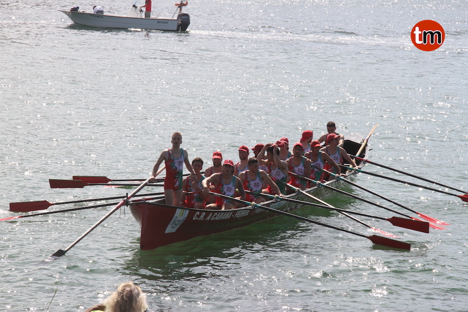 IMG 7786