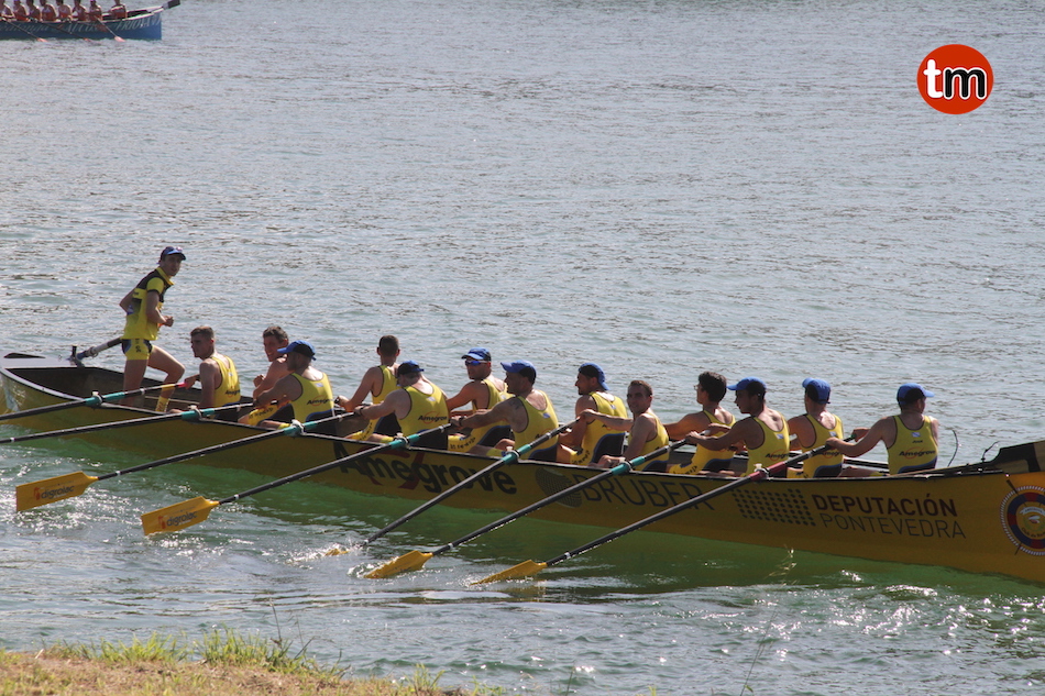 IMG 7884