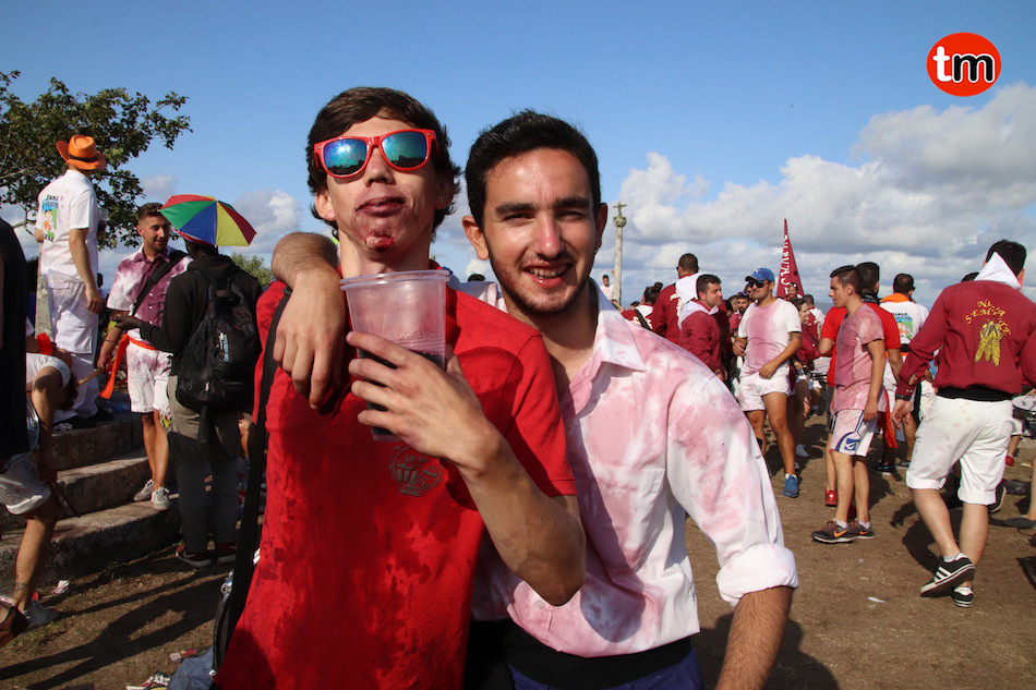 IMG 8236 (1)