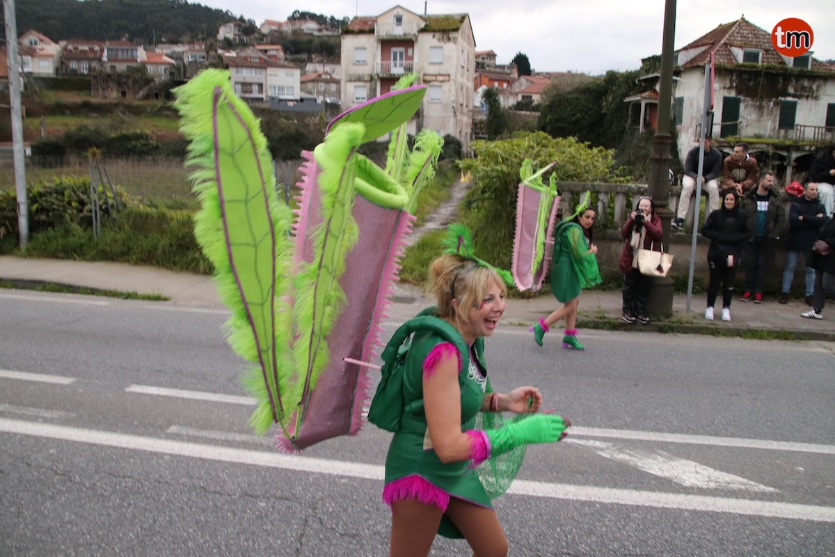 IMG 8500
