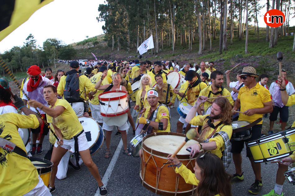 IMG 8611