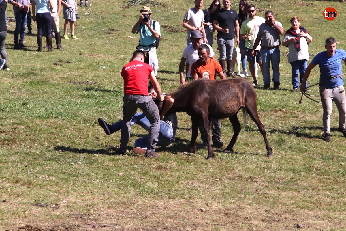 IMG 9629