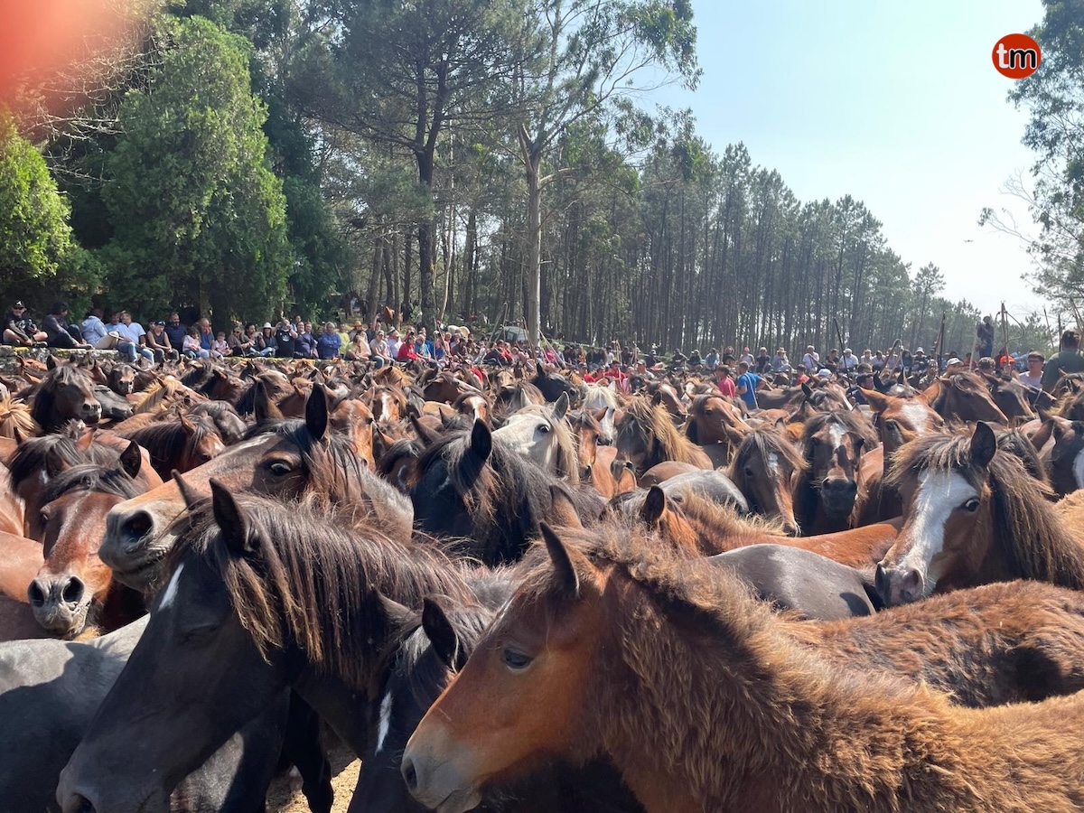 WhatsApp-Image-2025-06-08-at-21.36.12-1