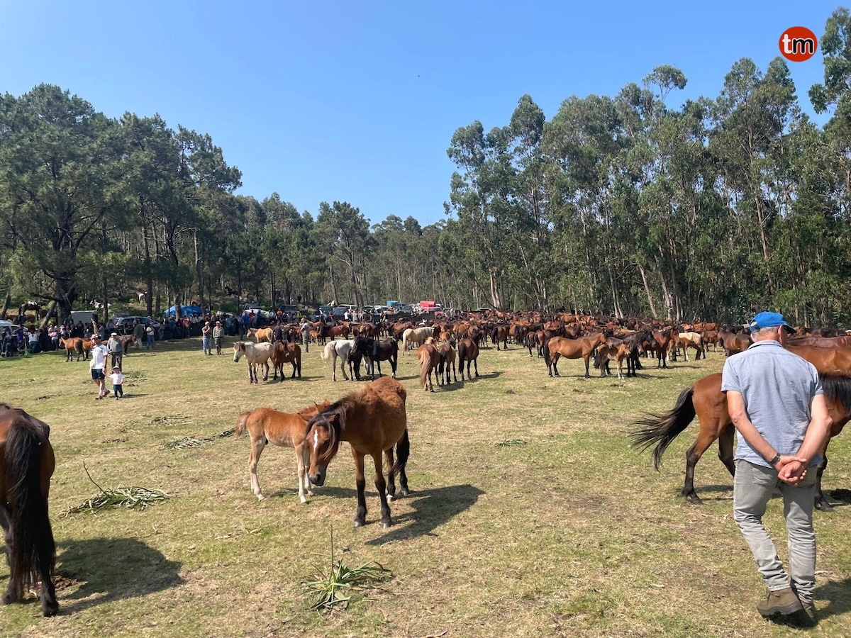 WhatsApp-Image-2025-06-08-at-21.36.13-7