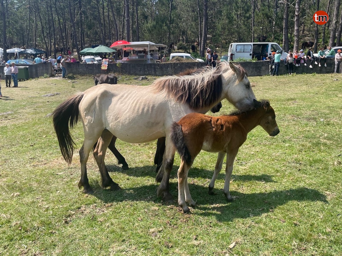 WhatsApp-Image-2025-06-08-at-21.36.13-8