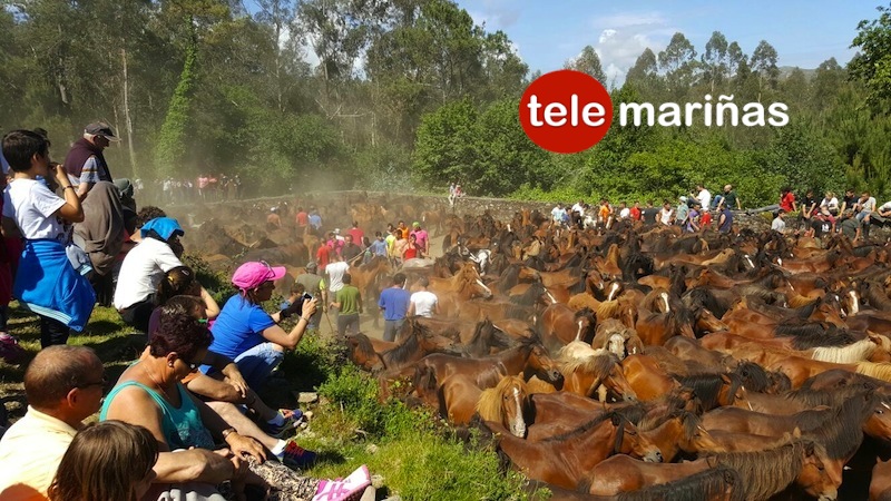 curro_torrona3