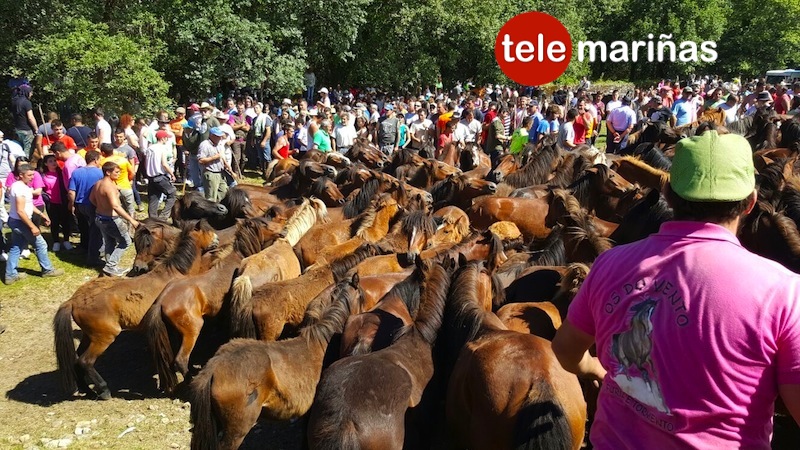 curro_torrona4