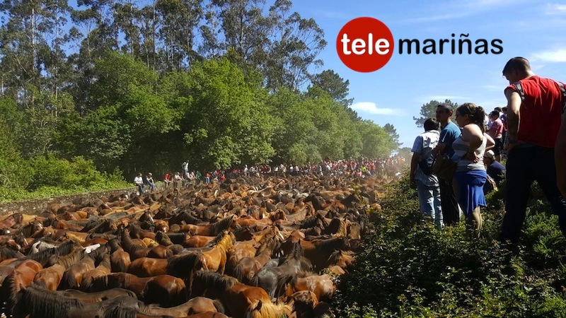 curro_torrona5