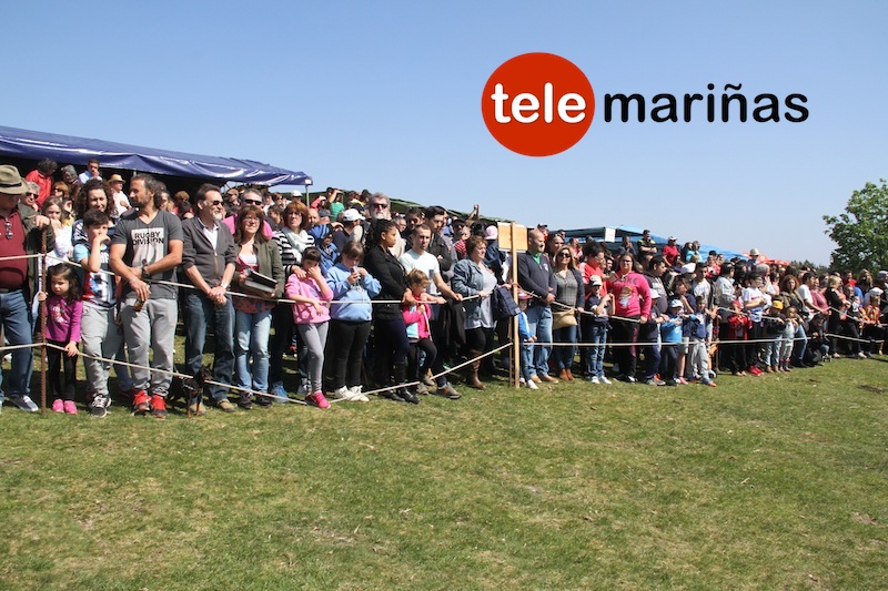 curro_valga_2016_oia1 