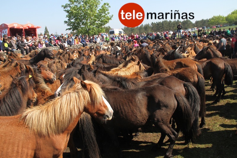 curro_valga_2016_oia12 