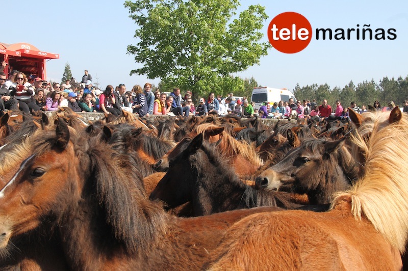 curro_valga_2016_oia13 