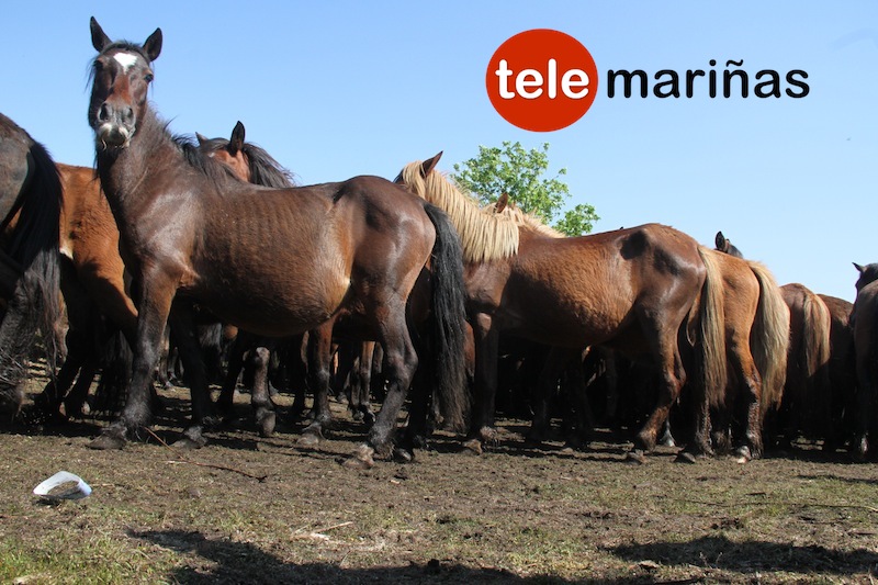 curro_valga_2016_oia14 