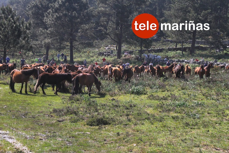 curro_valga_2016_oia2 