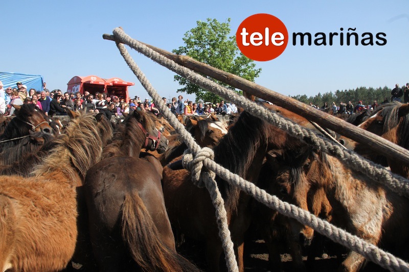 curro_valga_2016_oia20 