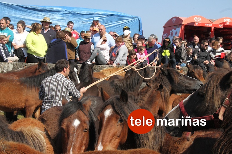curro_valga_2016_oia22 