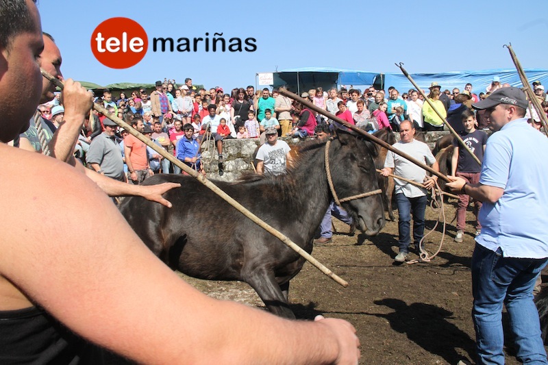 curro_valga_2016_oia24 