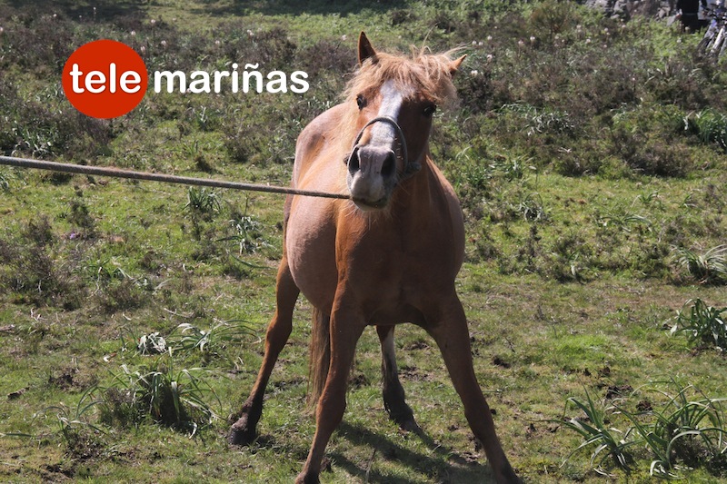 curro_valga_2016_oia25 