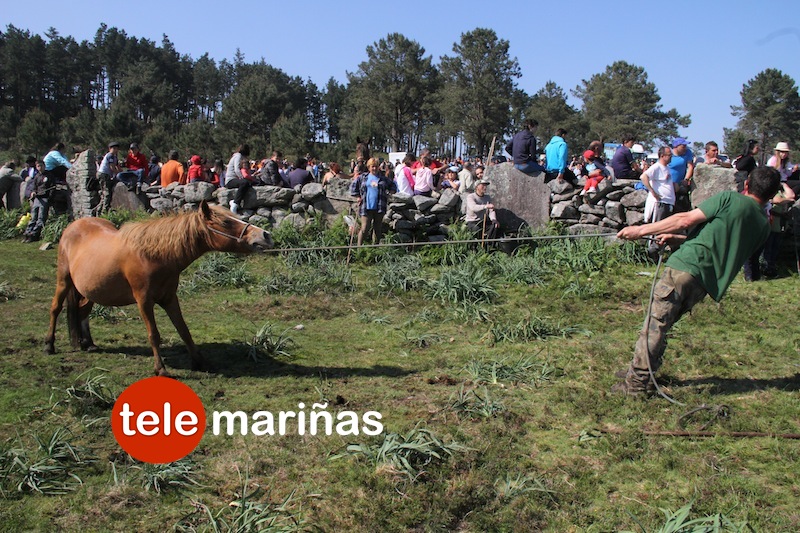 curro_valga_2016_oia26 