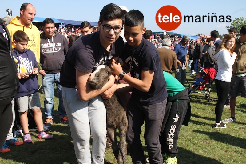 curro_valga_2016_oia33 