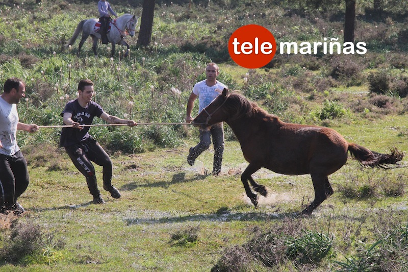 curro_valga_2016_oia34 