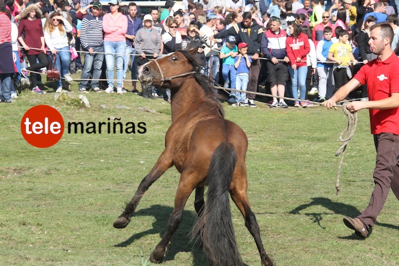 curro_valga_2016_oia37 