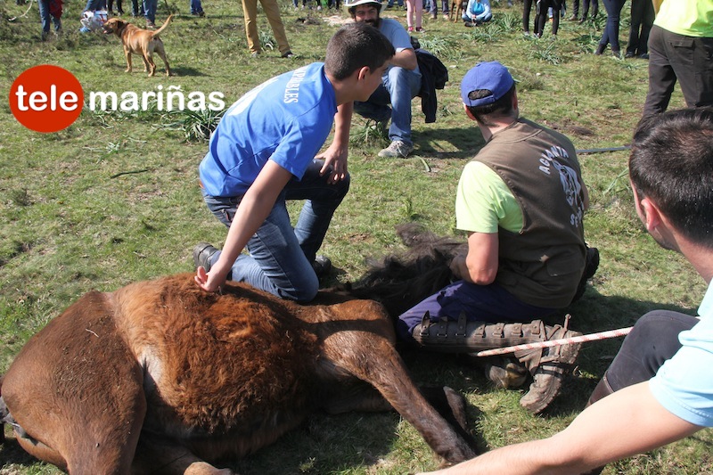 curro_valga_2016_oia38 