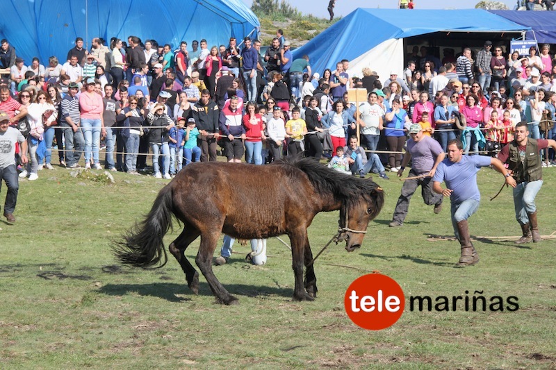 curro_valga_2016_oia39 