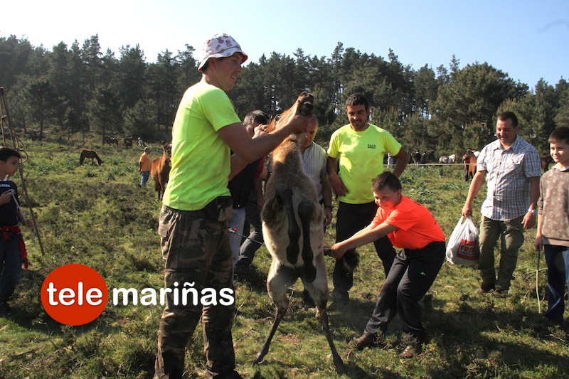 curro_valga_2016_oia42 