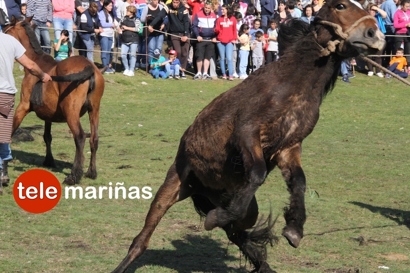 curro_valga_2016_oia43 