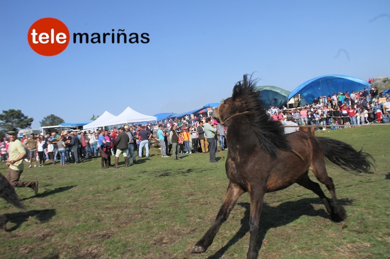 curro_valga_2016_oia44 