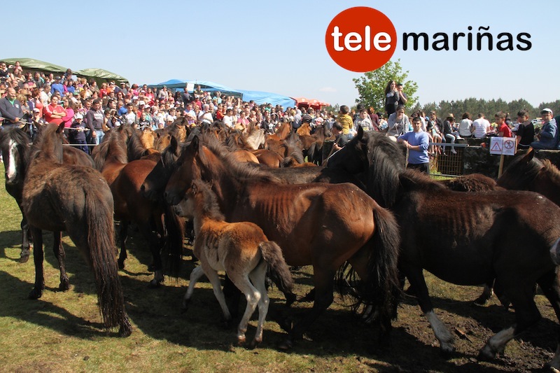 curro_valga_2016_oia6 