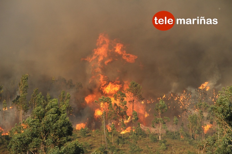 incendio caminha aguarda2
