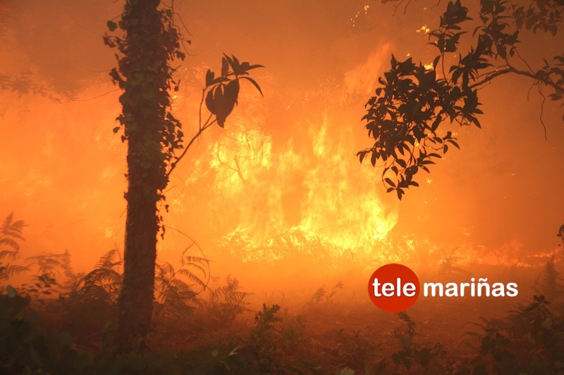 incendio caminha aguarda6