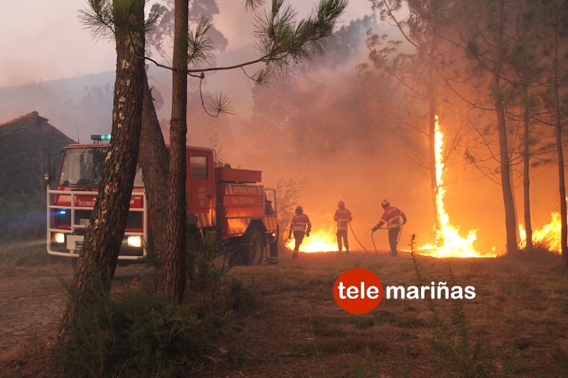 incendio caminha aguarda8