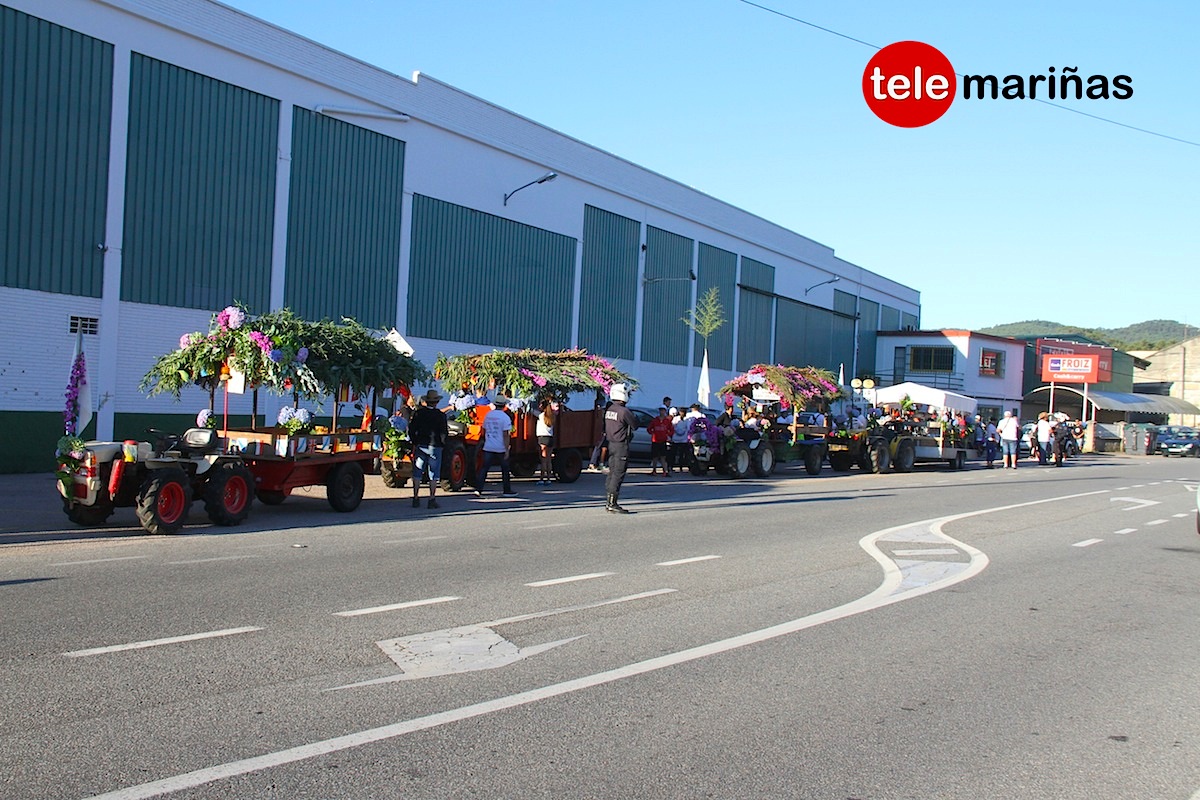 parranda sanpedro 2017